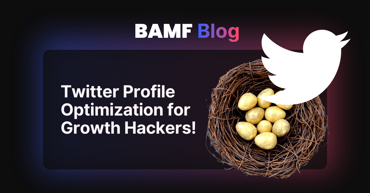 Twitter Profile Optimization for Growth Hackers!
