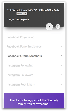 Setup Facebook Canvas Ads to Increase Conversion Rates 100%